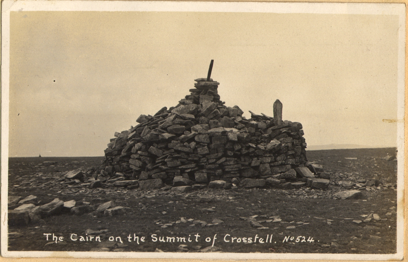 Stacks Image 309506