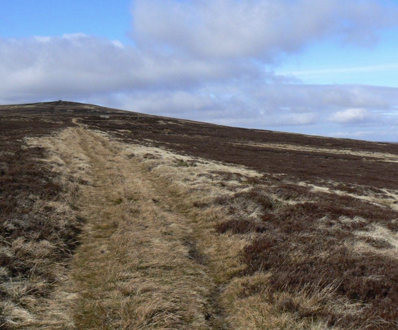 Stacks Image 309516